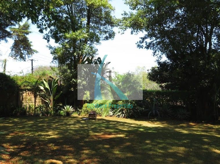 Lavington Land 1