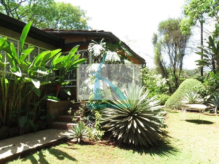 Lavington Land 2
