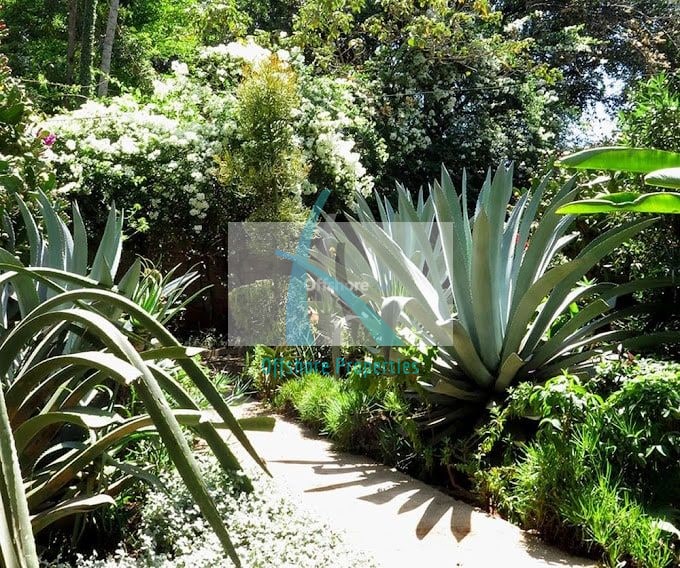 Lavington Land 4