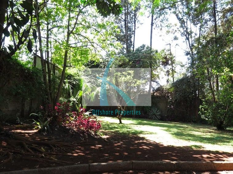 Lavington Land 8