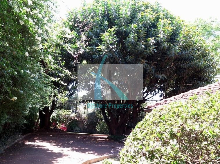 Lavington Land 9