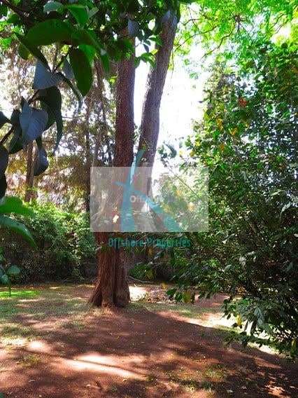 Lavington Land 10