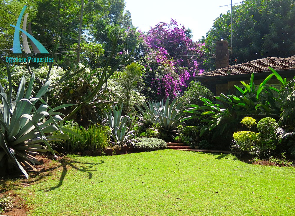 Lavington Land 3