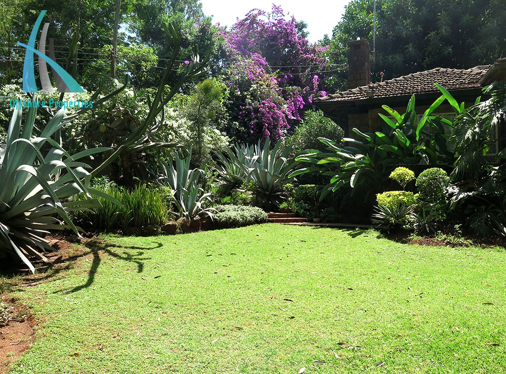 Lavington Land 6
