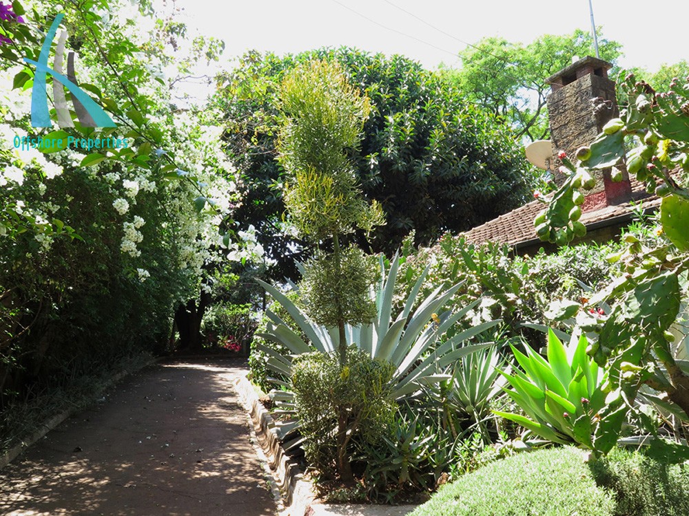 Lavington Land 11