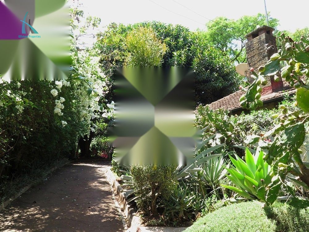 Lavington Land — photo 11