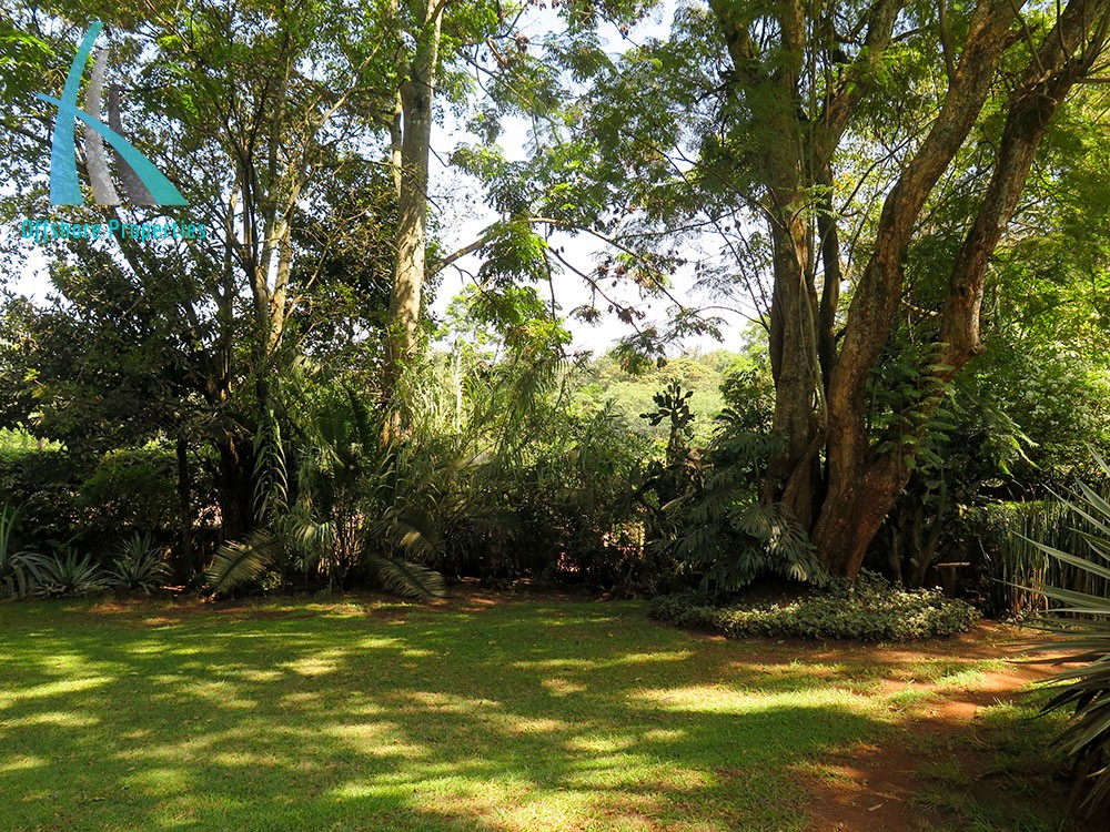 Lavington Land 12