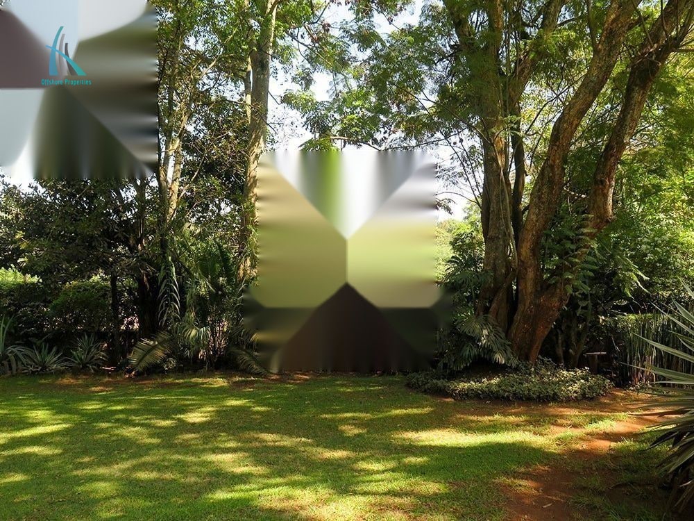 Lavington Land — photo 12