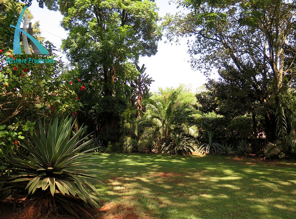 Lavington Land 13