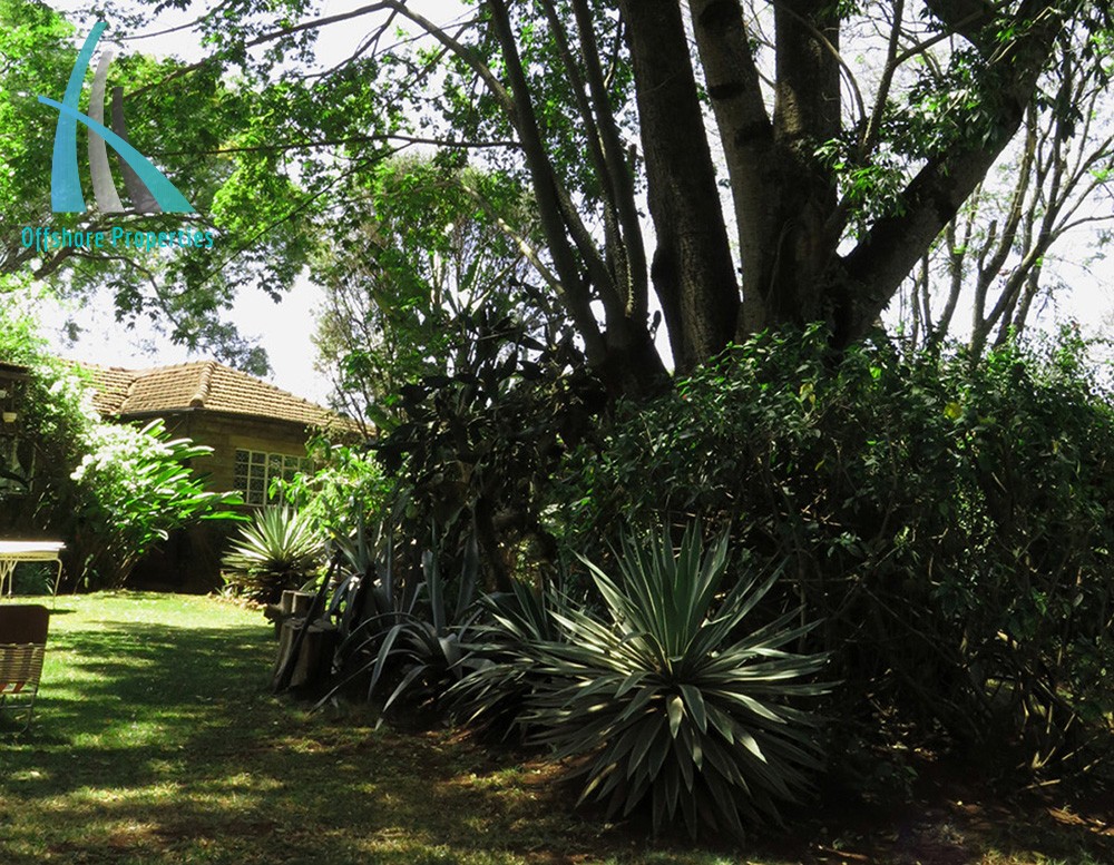 Lavington Land 14