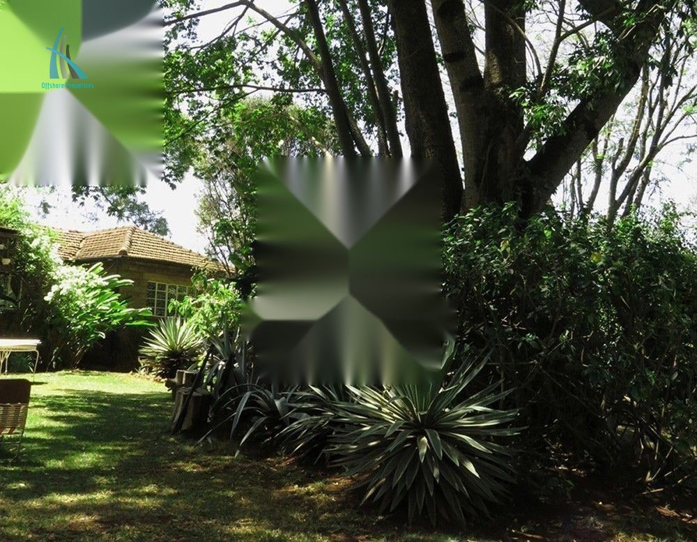 Lavington Land — photo 14