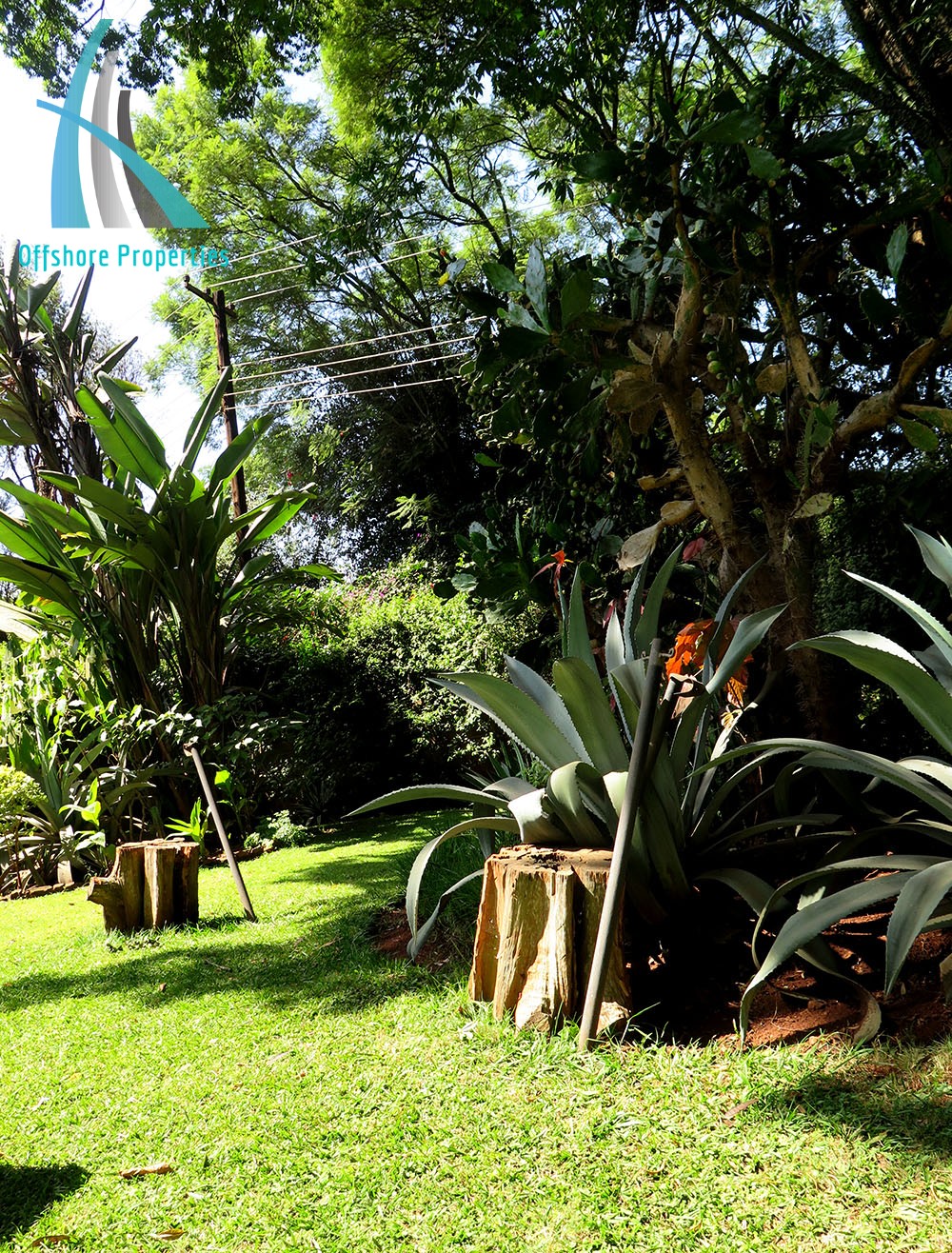 Lavington Land 15