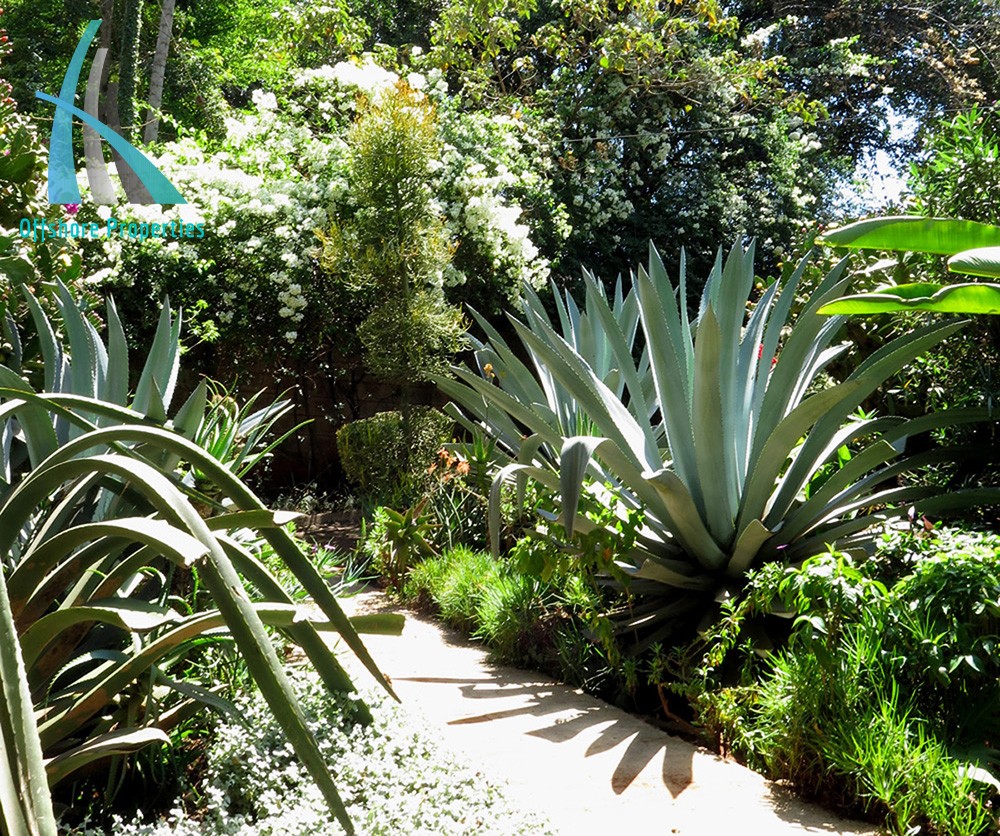 Lavington Land 17