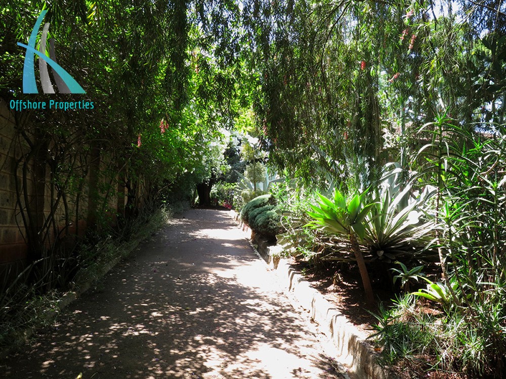 Lavington Land 18
